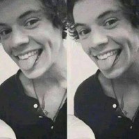 /album/harry/a62-jpg3/
